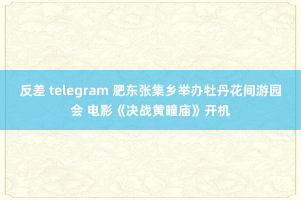 反差 telegram 肥东张集乡举办牡丹花间游园会 电影《决战黄疃庙》开机