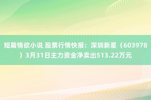 短篇情欲小说 股票行情快报：深圳新星（603978）3月31日主力资金净卖出513.22万元