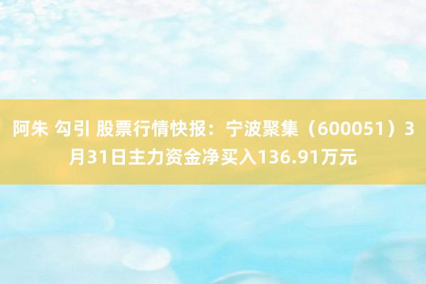 阿朱 勾引 股票行情快报：宁波聚集（600051）3月31日主力资金净买入136.91万元