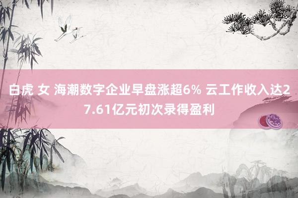 白虎 女 海潮数字企业早盘涨超6% 云工作收入达27.61亿元初次录得盈利