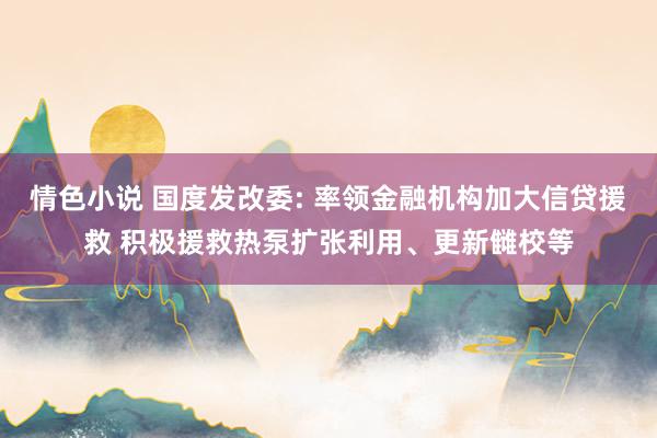 情色小说 国度发改委: 率领金融机构加大信贷援救 积极援救热泵扩张利用、更新雠校等
