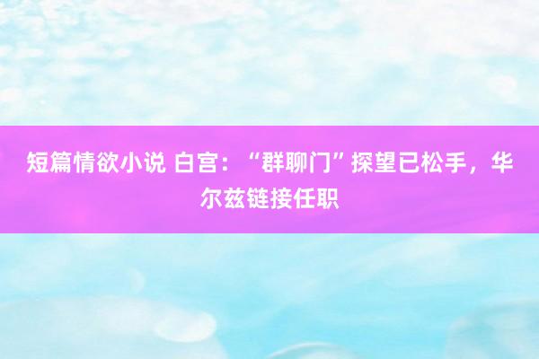 短篇情欲小说 白宫：“群聊门”探望已松手，华尔兹链接任职