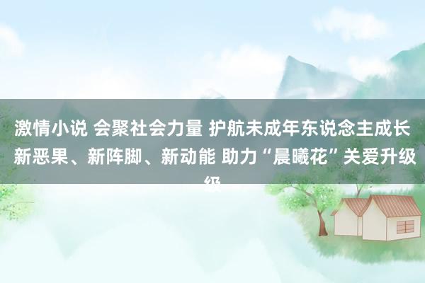 激情小说 会聚社会力量 护航未成年东说念主成长 新恶果、新阵脚、新动能 助力“晨曦花”关爱升级