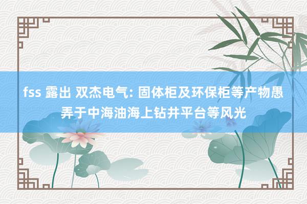 fss 露出 双杰电气: 固体柜及环保柜等产物愚弄于中海油海上钻井平台等风光