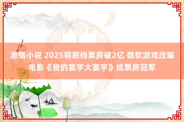 激情小说 2025明朗档票房破2亿 微软游戏改编电影《我的寰宇大寰宇》成票房冠军