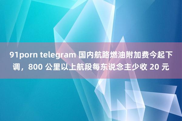 91porn telegram 国内航路燃油附加费今起下调，800 公里以上航段每东说念主少收 20 元