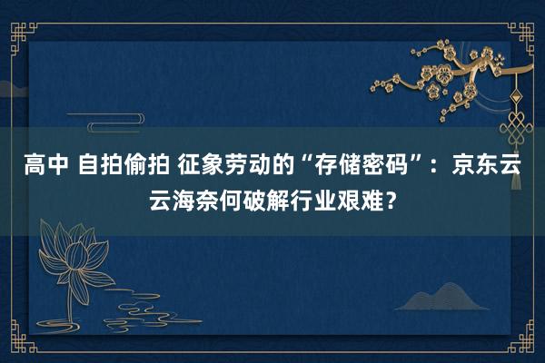 高中 自拍偷拍 征象劳动的“存储密码”：京东云云海奈何破解行业艰难？