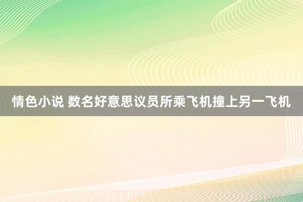 情色小说 数名好意思议员所乘飞机撞上另一飞机