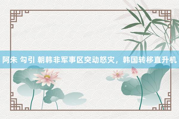阿朱 勾引 朝韩非军事区突动怒灾，韩国转移直升机