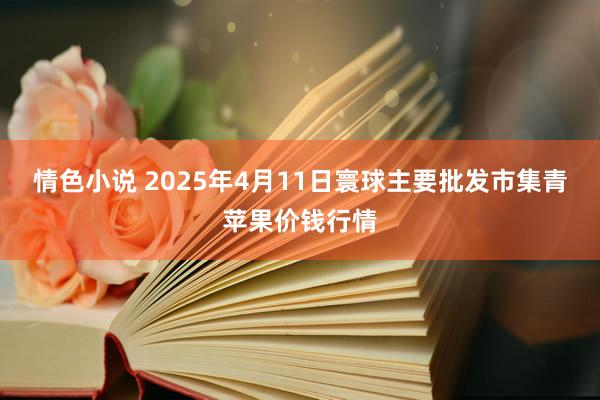 情色小说 2025年4月11日寰球主要批发市集青苹果价钱行情