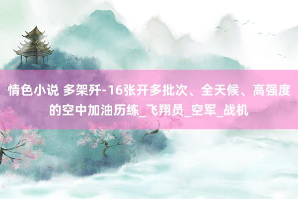 情色小说 多架歼-16张开多批次、全天候、高强度的空中加油历练_飞翔员_空军_战机