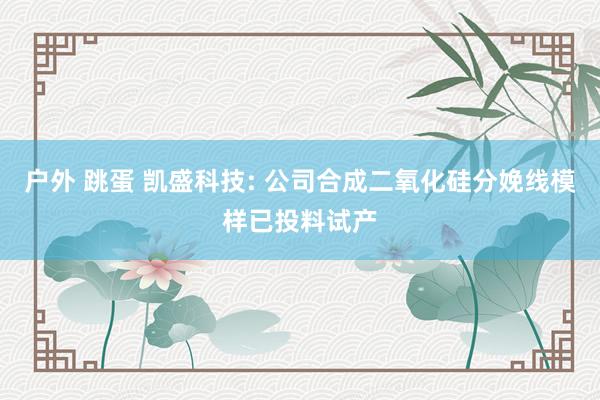 户外 跳蛋 凯盛科技: 公司合成二氧化硅分娩线模样已投料试产