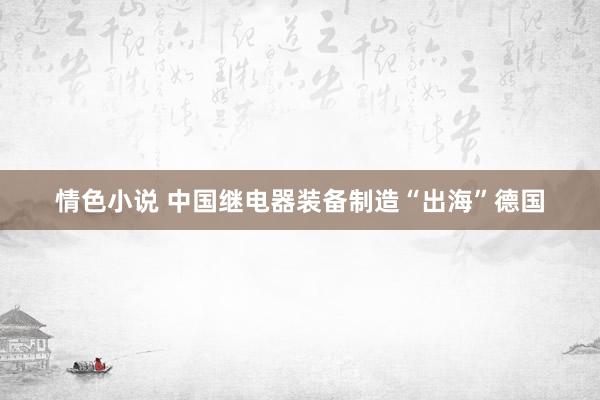 情色小说 中国继电器装备制造“出海”德国