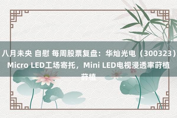 八月未央 自慰 每周股票复盘：华灿光电（300323）Micro LED工场寄托，Mini LED电视浸透率莳植