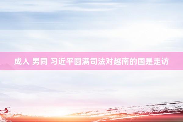 成人 男同 习近平圆满司法对越南的国是走访