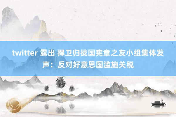 twitter 露出 捍卫归拢国宪章之友小组集体发声：反对好意思国滥施关税