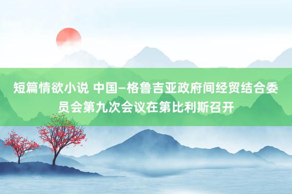 短篇情欲小说 中国—格鲁吉亚政府间经贸结合委员会第九次会议在第比利斯召开
