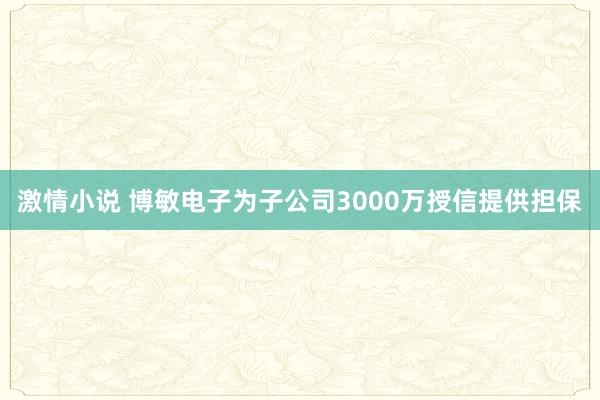 激情小说 博敏电子为子公司3000万授信提供担保