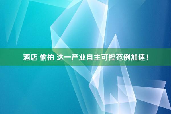 酒店 偷拍 这一产业自主可控范例加速！