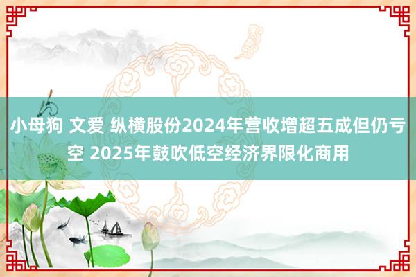 小母狗 文爱 纵横股份2024年营收增超五成但仍亏空 2025年鼓吹低空经济界限化商用