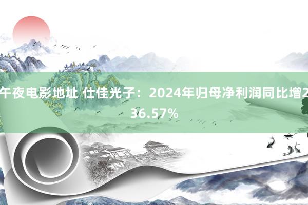 午夜电影地址 仕佳光子：2024年归母净利润同比增236.57%