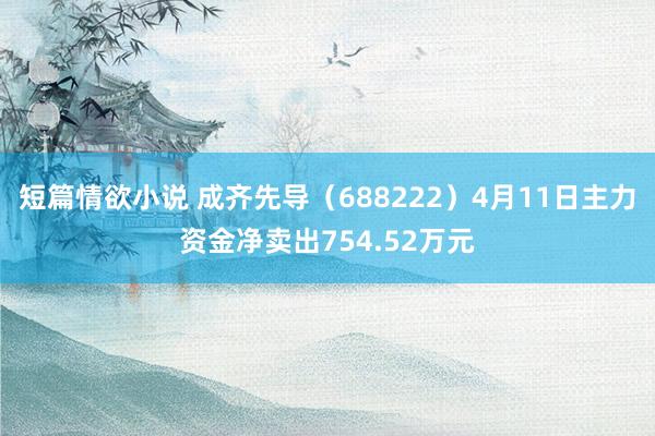 短篇情欲小说 成齐先导（688222）4月11日主力资金净卖出754.52万元