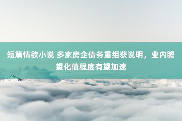 短篇情欲小说 多家房企债务重组获说明，业内瞻望化债程度有望加速