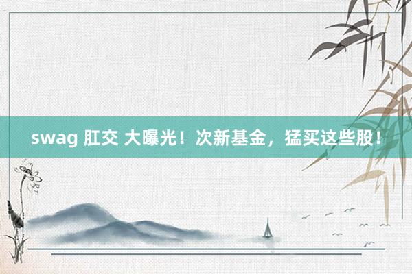 swag 肛交 大曝光！次新基金，猛买这些股！