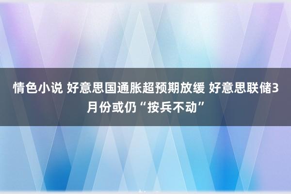 情色小说 好意思国通胀超预期放缓 好意思联储3月份或仍“按兵不动”